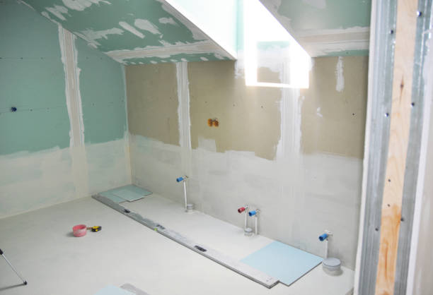 Trusted Saxapahaw, NC Mold Removal Experts