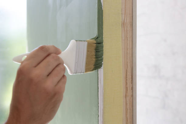 Best Basement Mold Removal  in Saxapahaw, NC