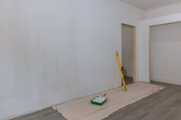 Best Airborne Mold Testing  in Saxapahaw, NC
