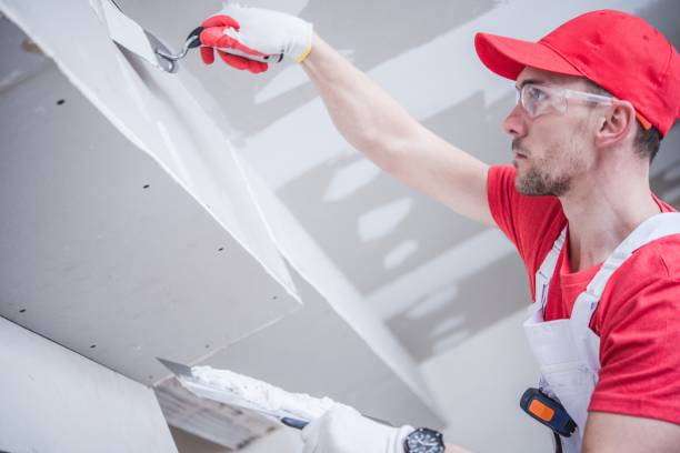 Best Mold Removal for HVAC Installations  in Saxapahaw, NC
